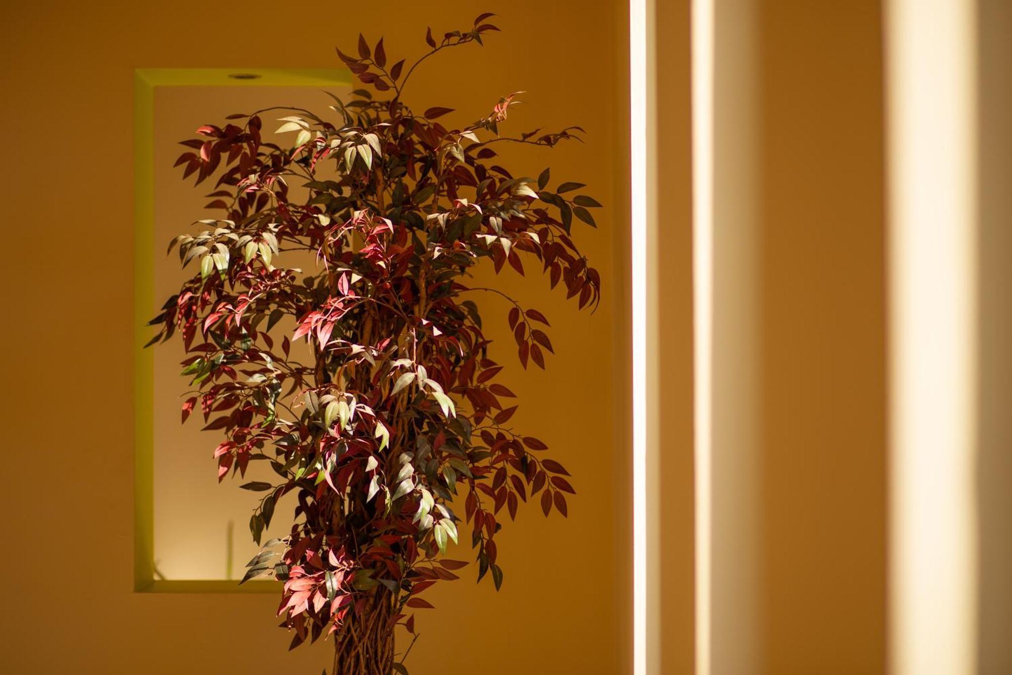 Hotel Giorgio Athena Bagian luar foto